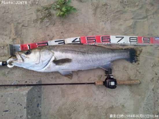 �����Х�