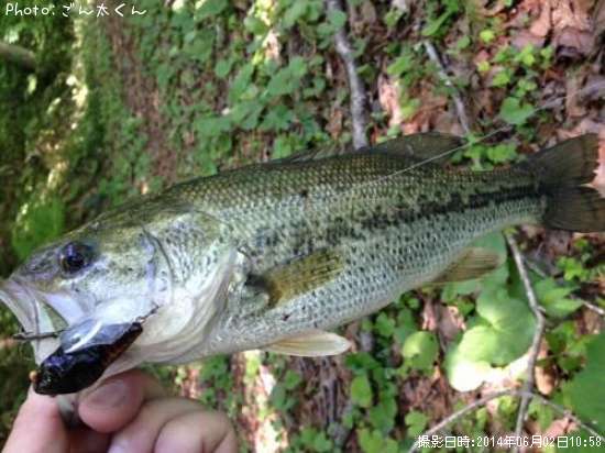 �֥�å��Х�