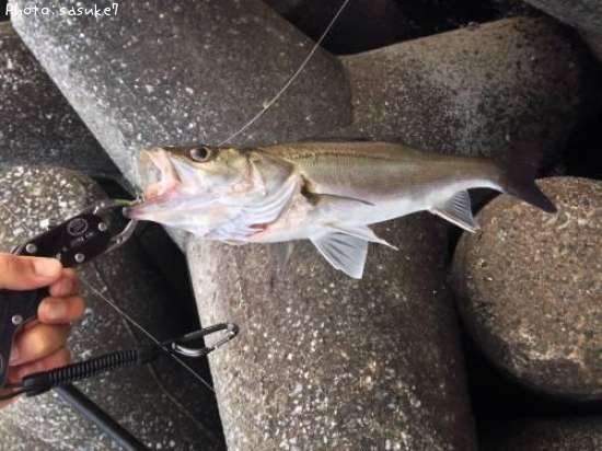 �����Х�