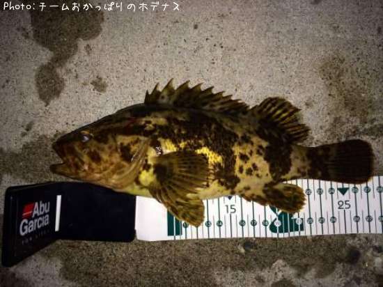 �����Υ���Х�