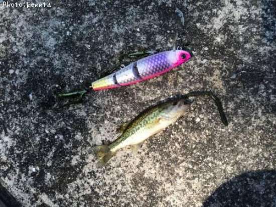 �֥�å��Х�