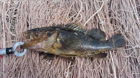 �٥å�������