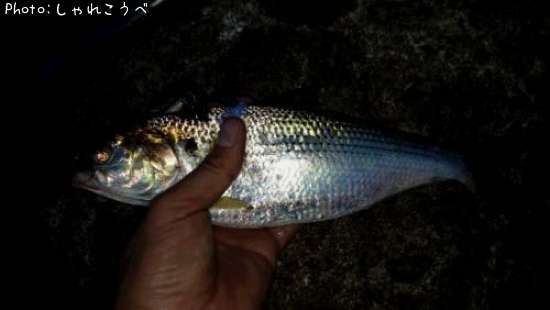 ���Υ���