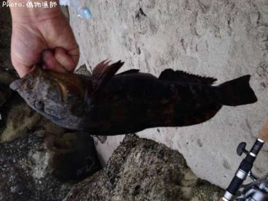 �����ʥ�