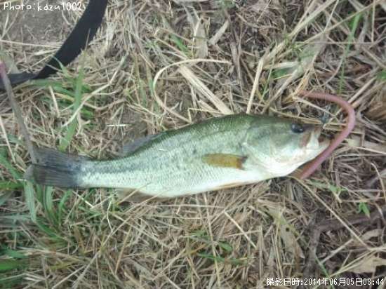 �֥�å��Х�