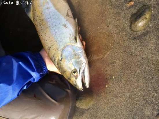 ������ޥ�