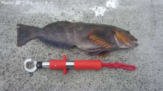 �����ʥ�