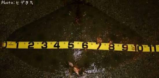 �ĥХ�������