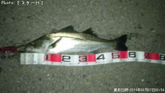 �����Х�