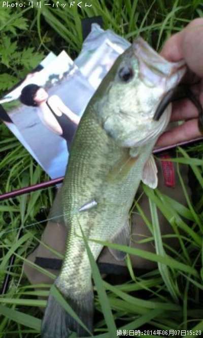 �£̣��ãˡ��£��ӣ�