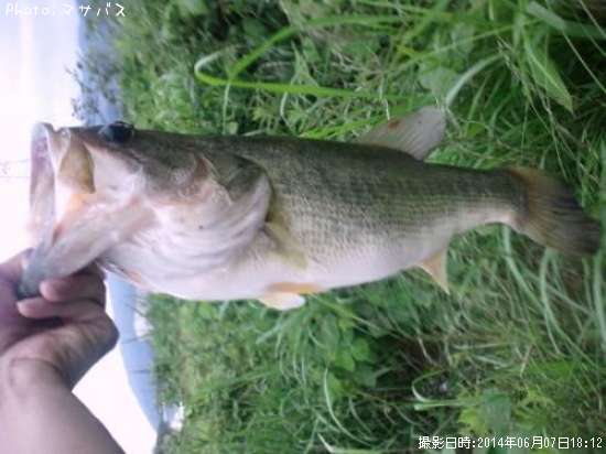 �֥�å��Х�