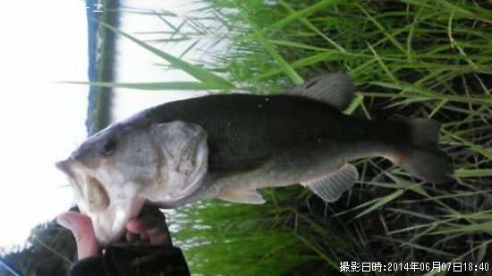 �֥�å��Х�