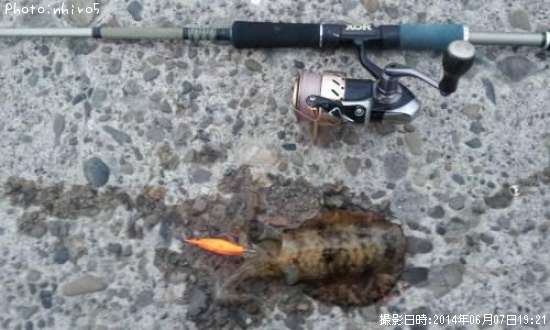 �����ꥤ��