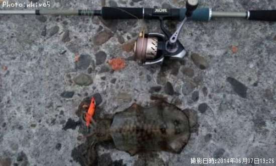 �����ꥤ��