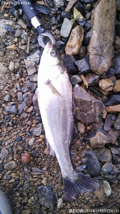 �����Х�