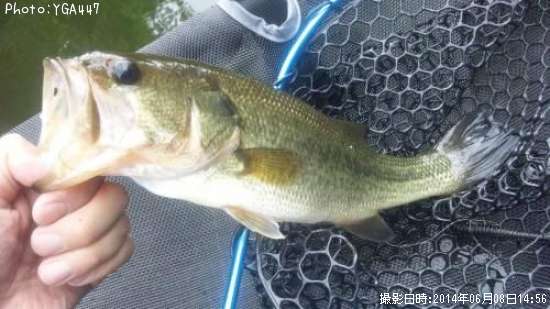 �֥�å��Х�