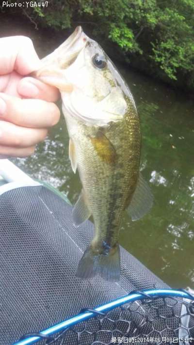 �֥�å��Х�