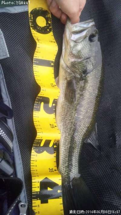 �֥�å��Х�