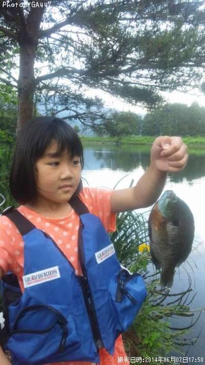 �֥롼����