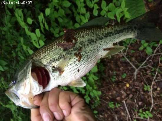 �֥�å��Х�