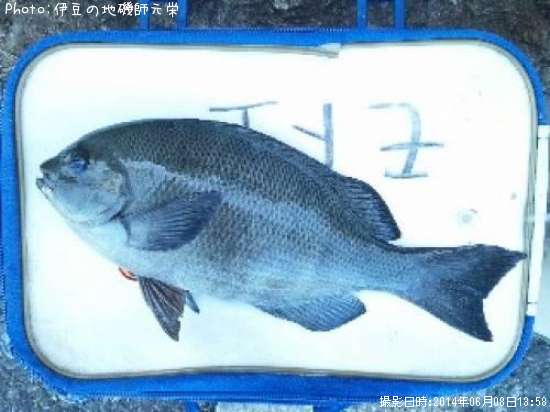 �����᥸��