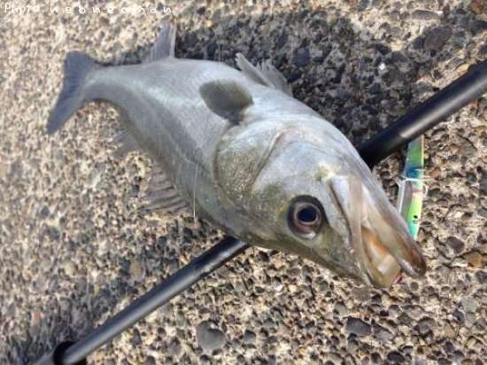 �����Х�