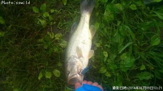 �֥�å��Х�