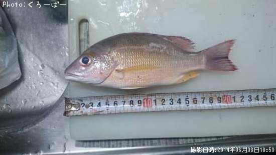 �����ե�����