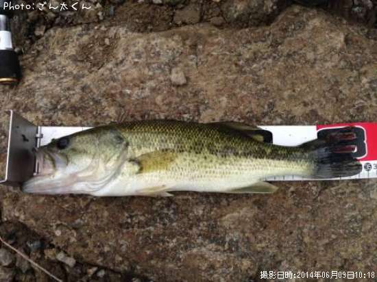 �֥�å��Х�