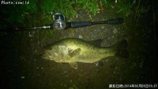 �֥�å��Х�