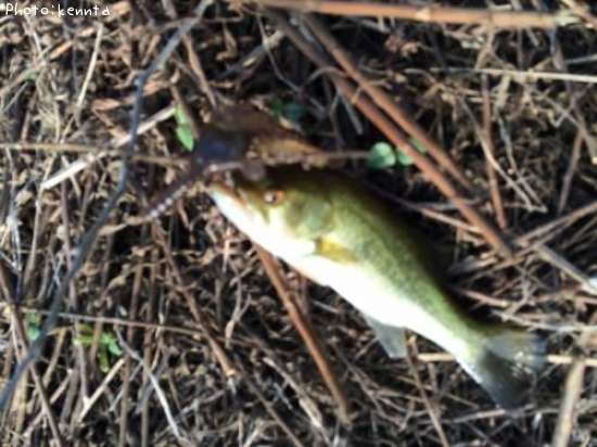 �֥�å��Х�