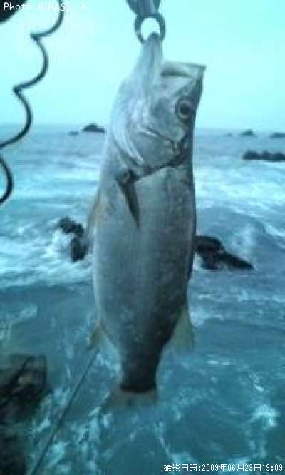 �ҥ饹����