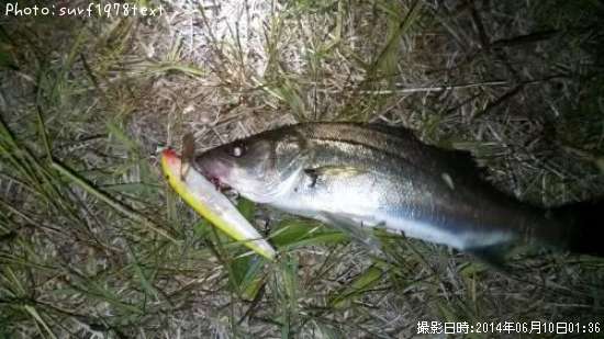 �����Х�