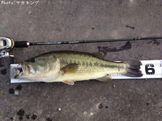 �֥�å��Х�