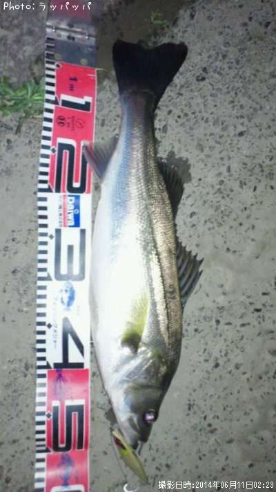 �����Х�