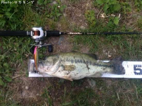 �֥�å��Х�