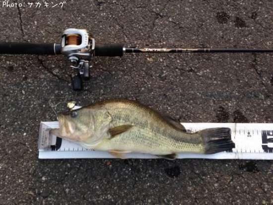 �֥�å��Х�