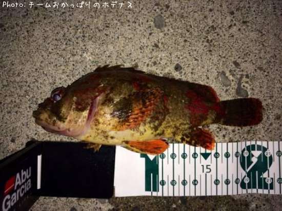 �������Х�