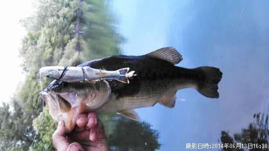 �֥�å��Х�