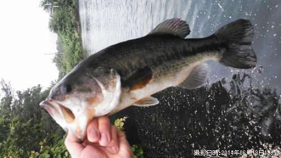 �֥�å��Х�