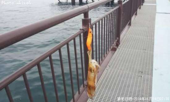 �����ꥤ��