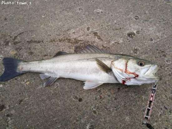 �����Х�