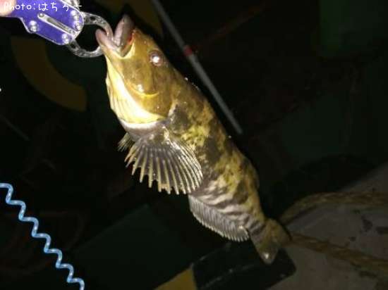 �����ʥ�