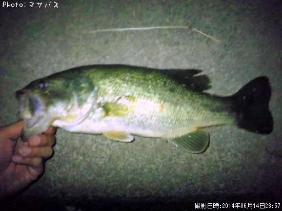 �֥�å��Х�