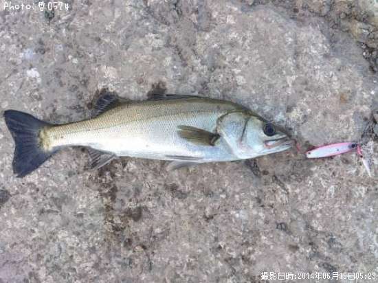 �����Х�