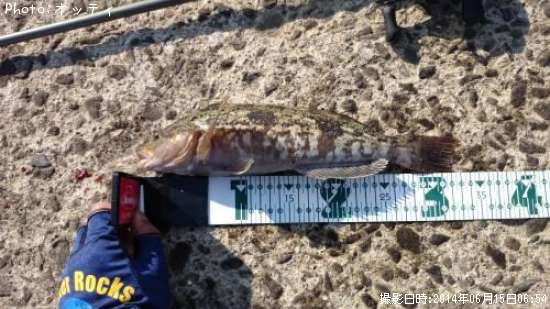 �����ʥ�