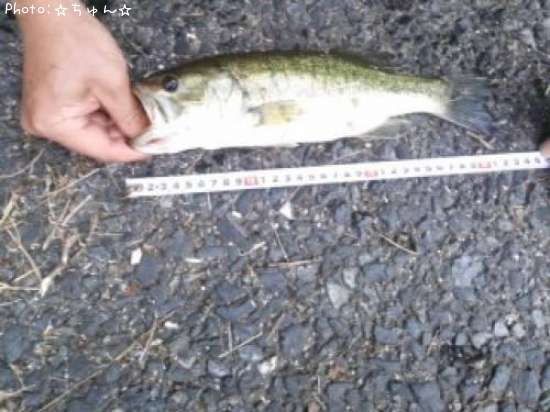 �֥�å��Х�