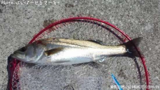 �����Х�