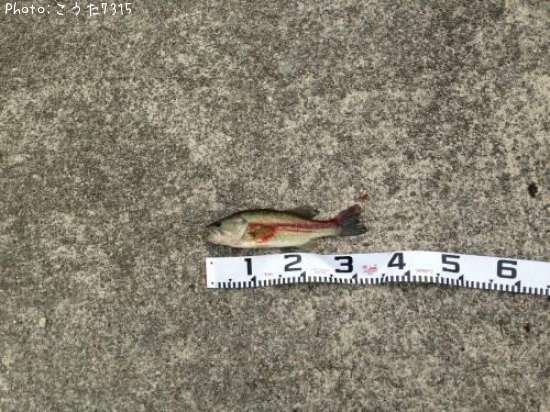 �֥�å��Х�