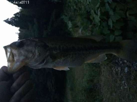 �֥�å��Х�